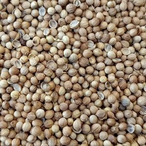 Coriander Seeds